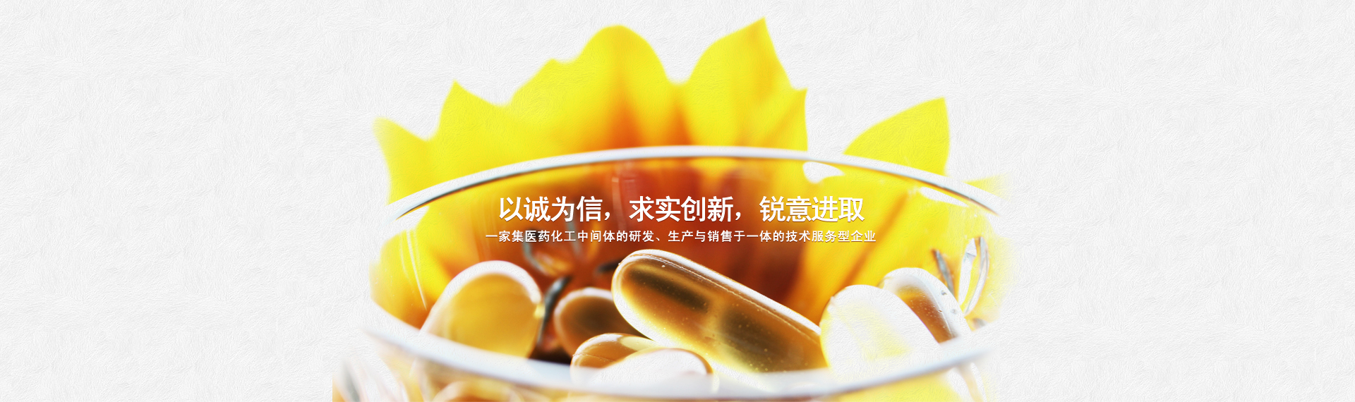 衡陽市黎達化工有限公司